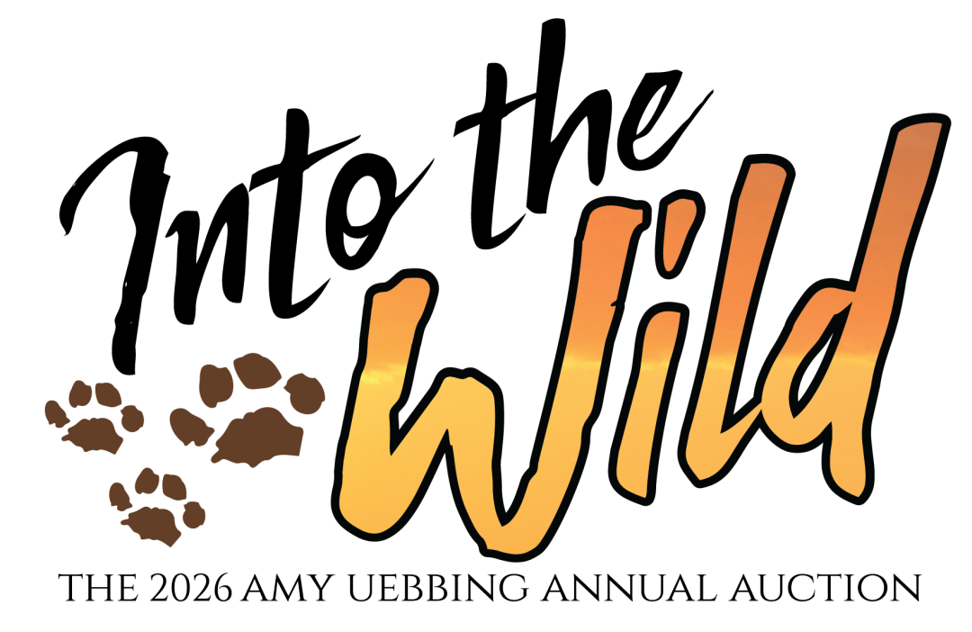 Into the Wild: The Amy Uebbing Annual Auction banner