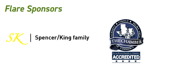 Sponsor logo