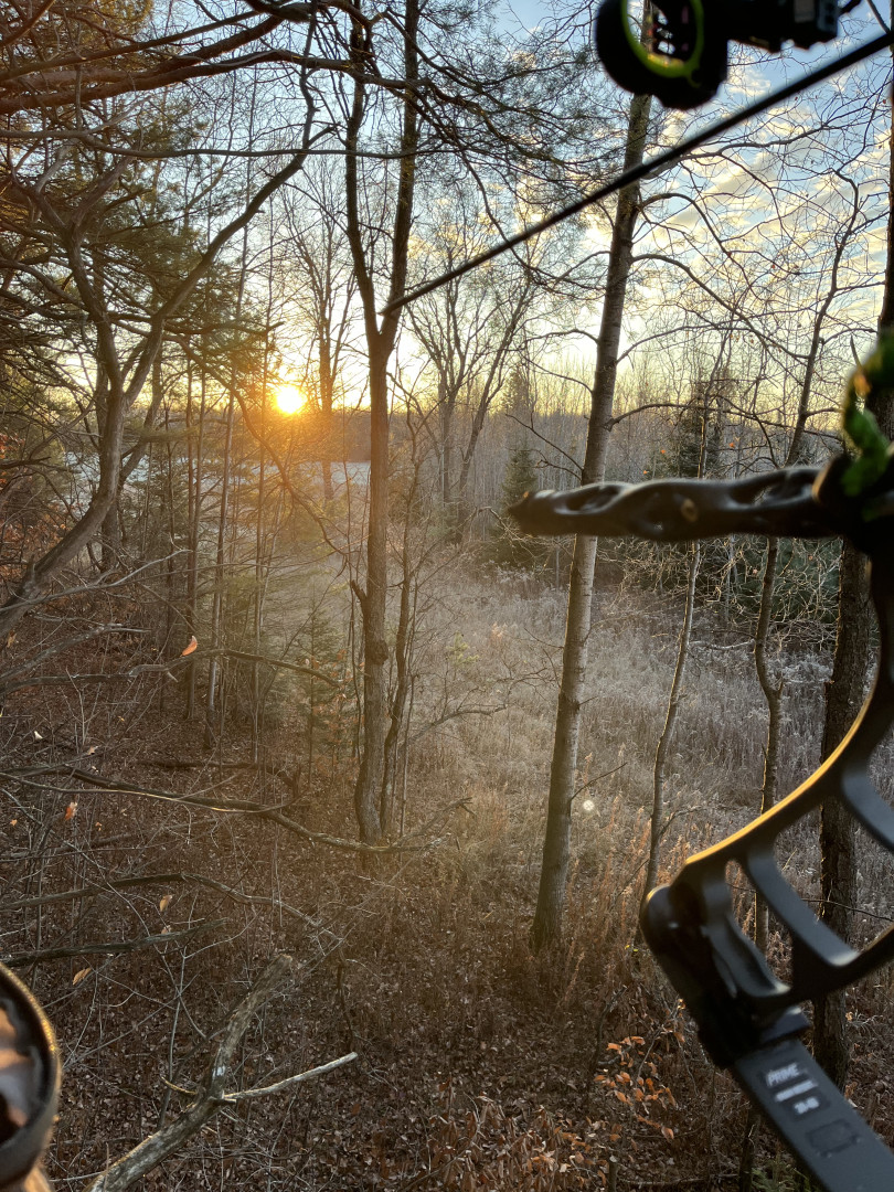 Archery Shoot 2026 background