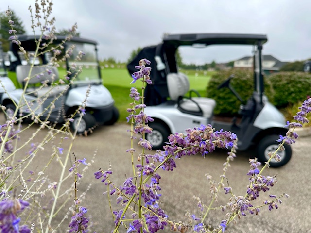 Meg's Legacy of Hope: 4th Annual Golf Outing & Dinner background