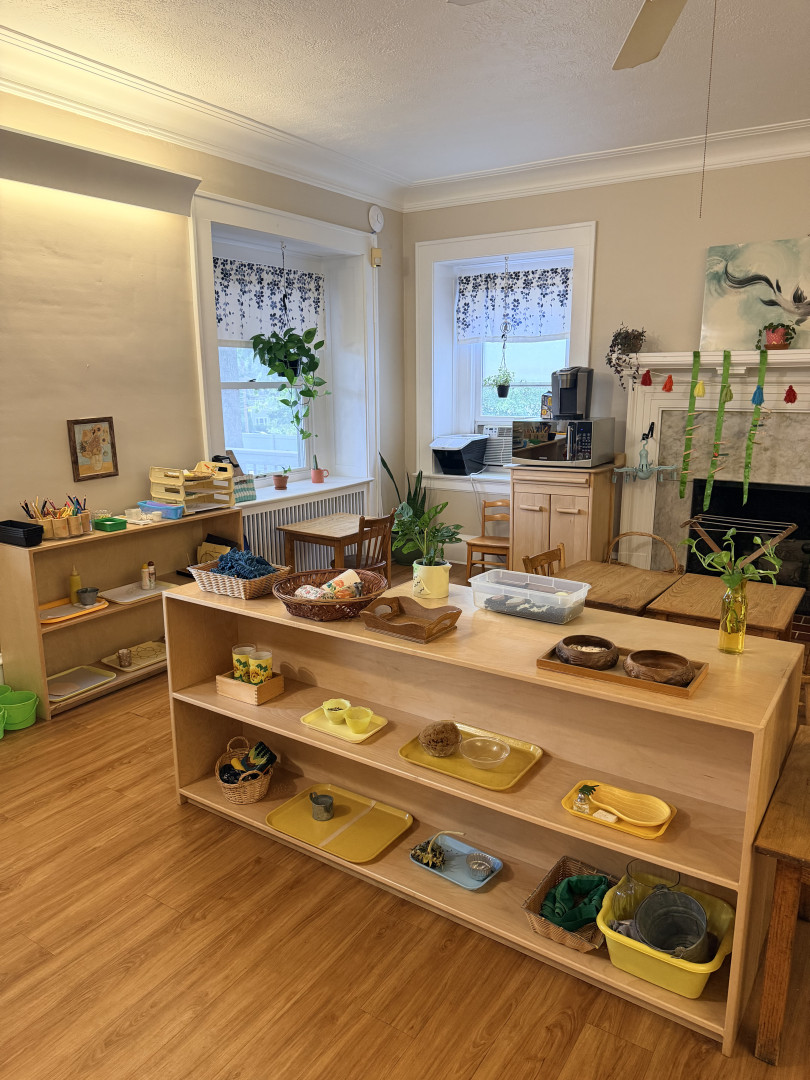 Gallery image 7