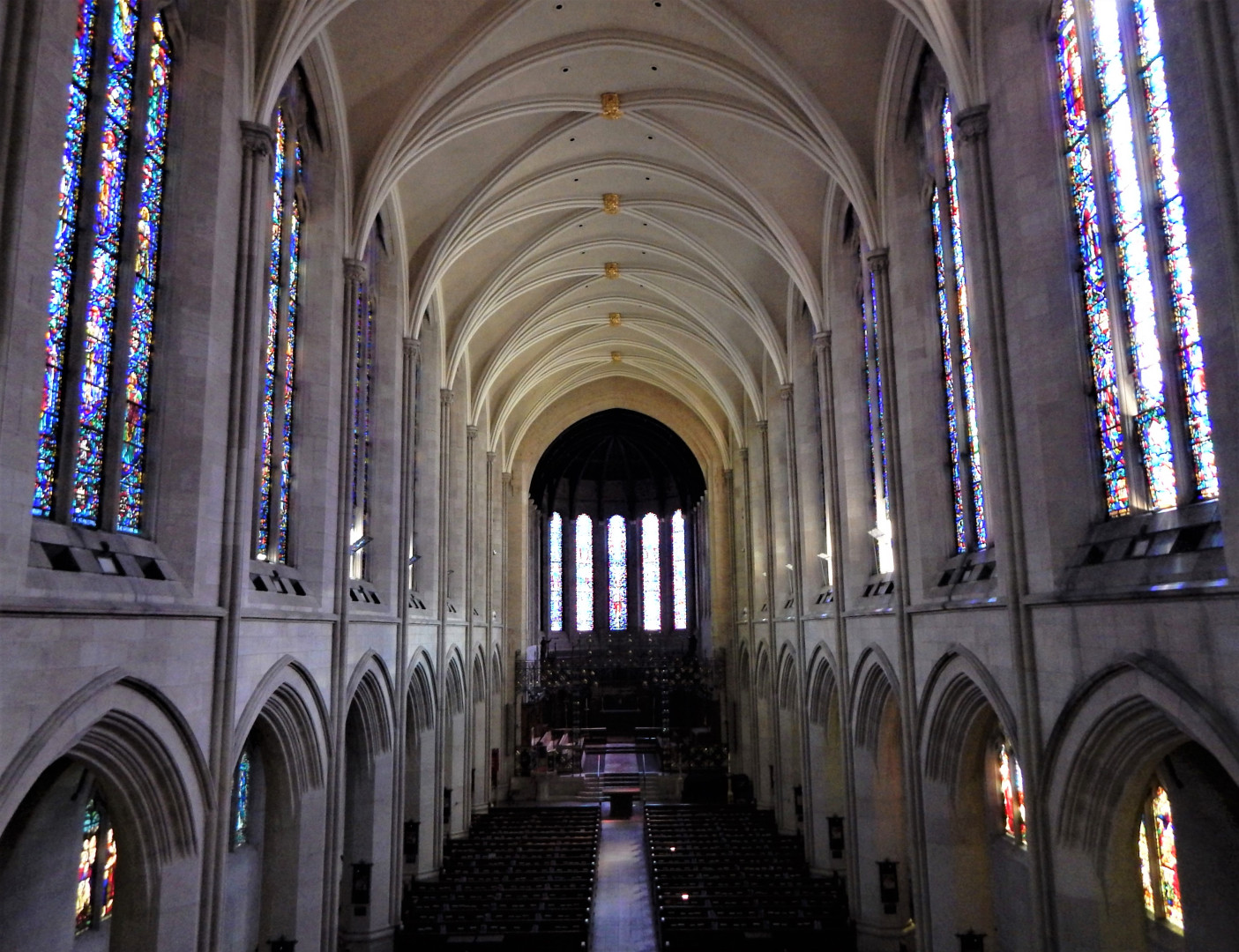 St. Francis Center 2026 Gala background