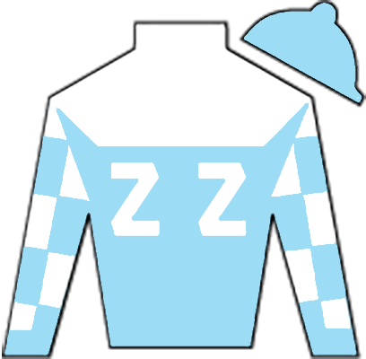 Flying Zee Racing