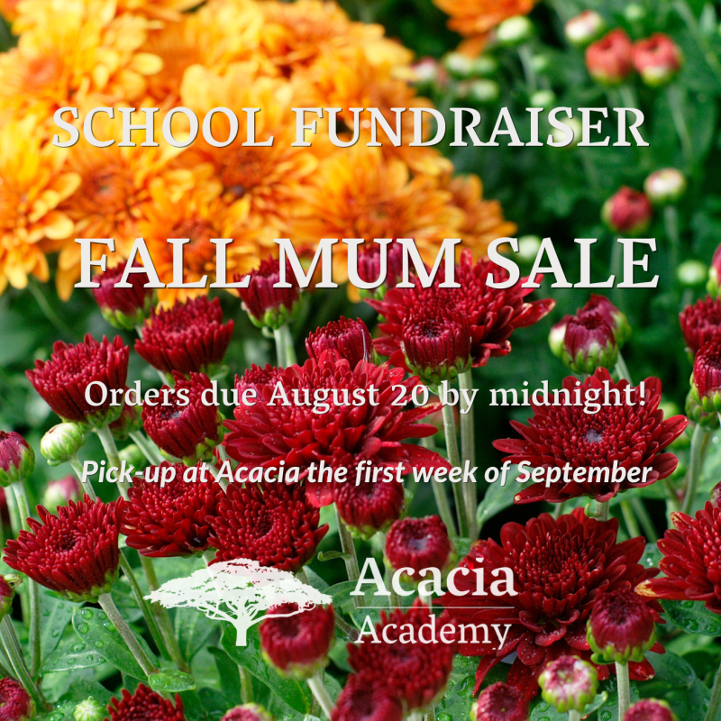 2026 Mum Sale logo