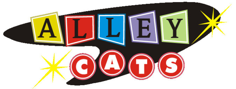 Sponsor logo
