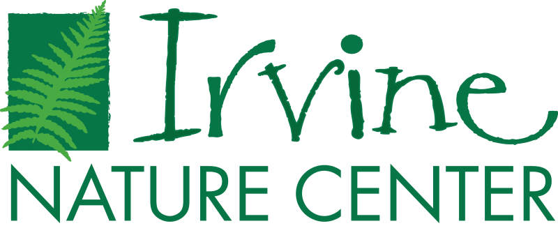 Pumpkins on the Green 2026 logo
