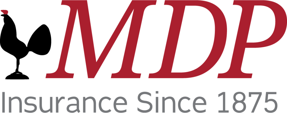 Sponsor logo