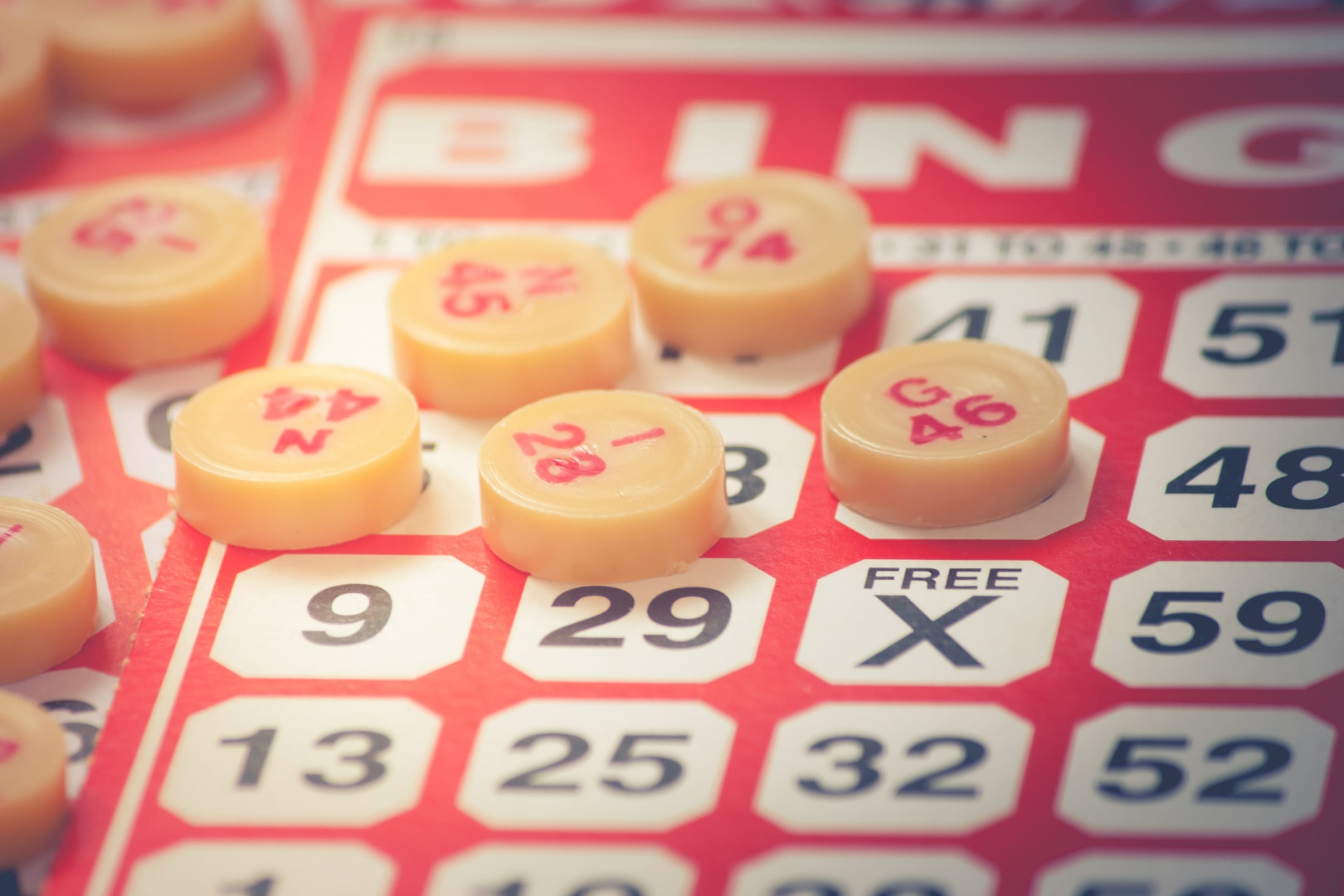 Bags, Bingo & Belonging background
