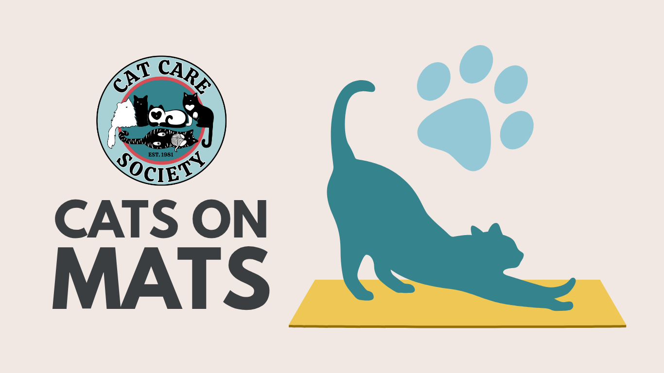 Cats on Mats August background