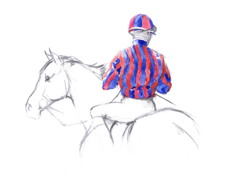 Sponsor logo