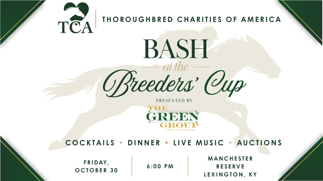 Bash at the Breeders' Cup banner