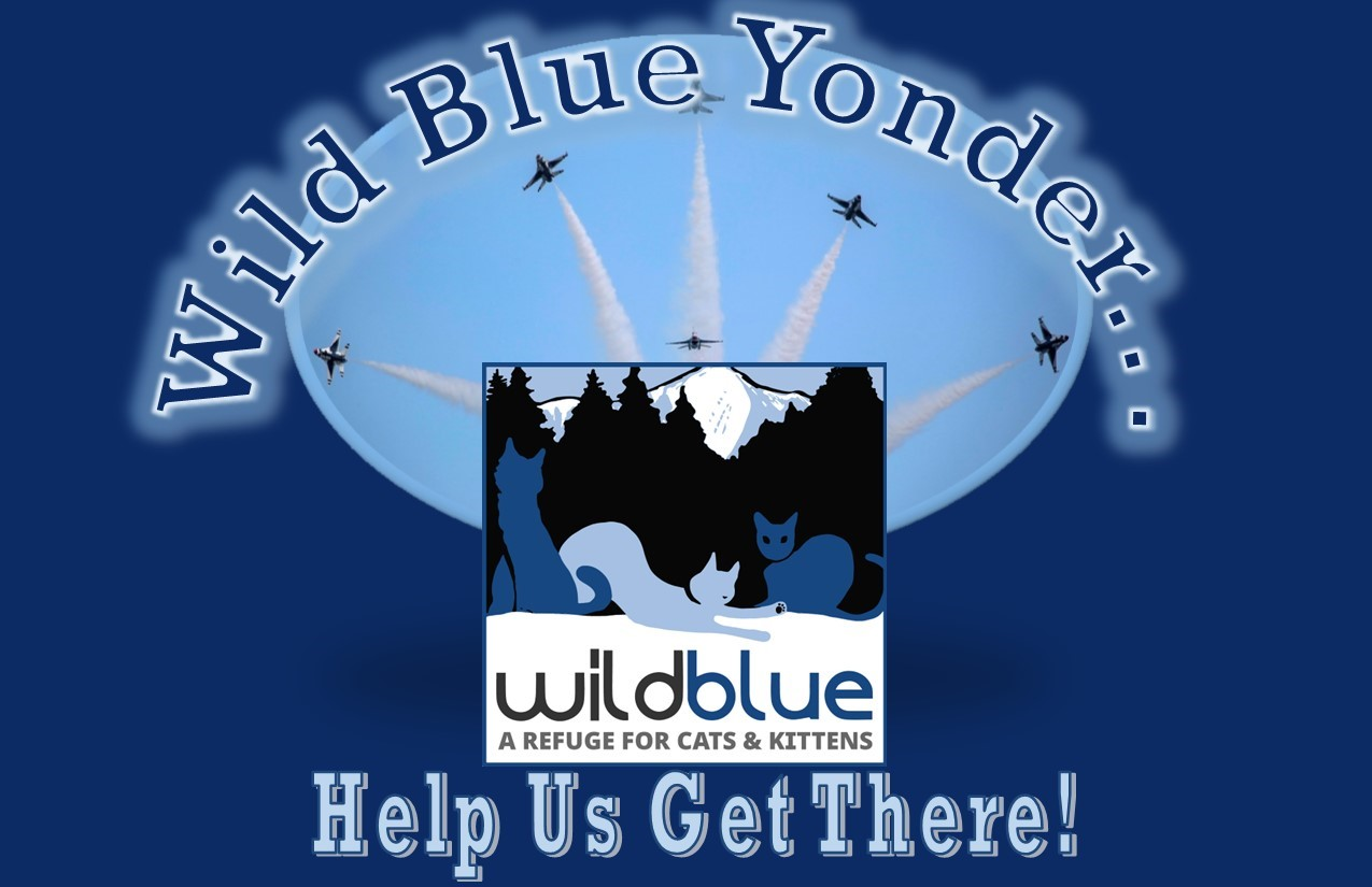 Wbyonder background