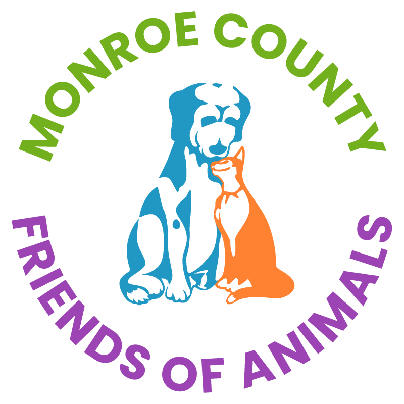 Paws & Prosecco MCFA Annual Gala logo