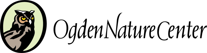 2026 Wildwoods BASH logo