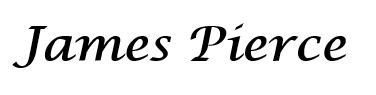 Sponsor logo