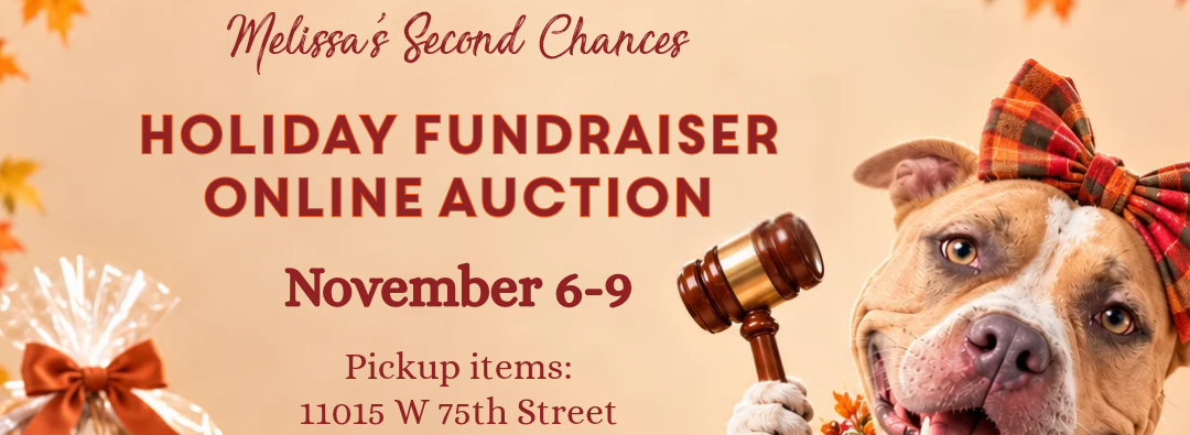 Holiday Auction 2026 background