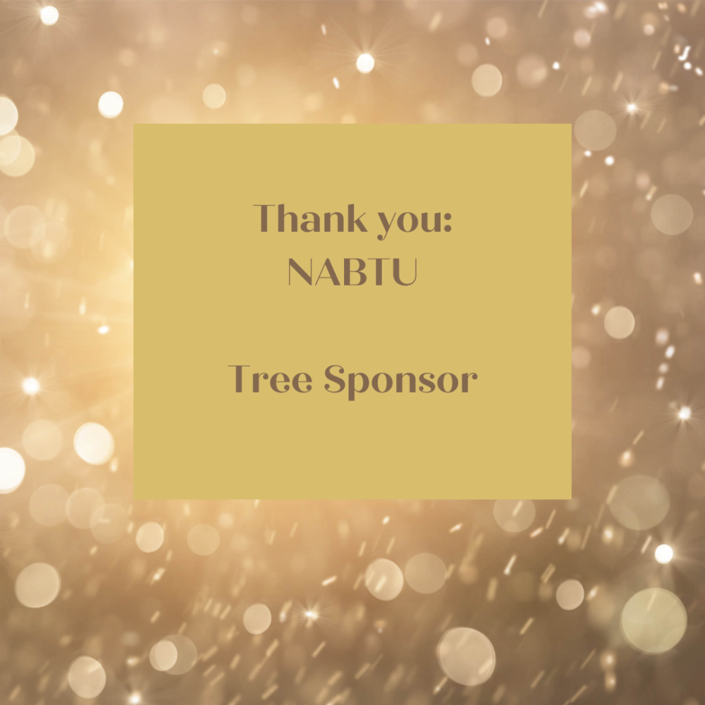 Sponsor logo