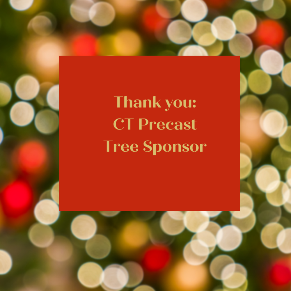 Sponsor logo