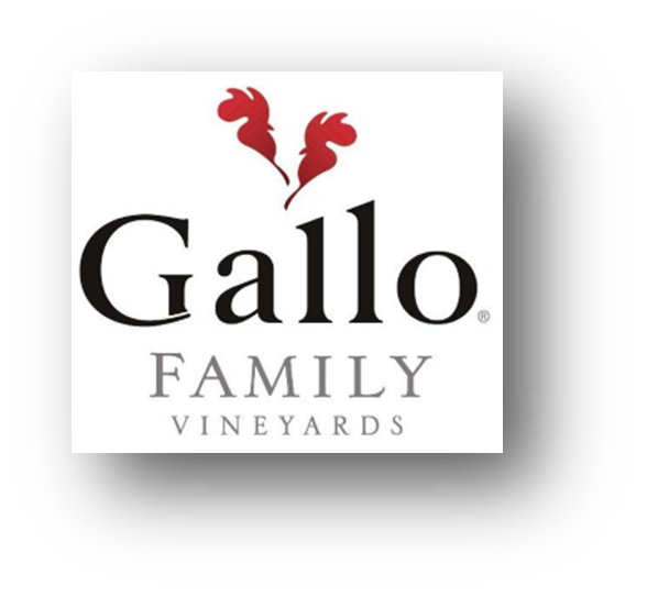 Sponsor logo