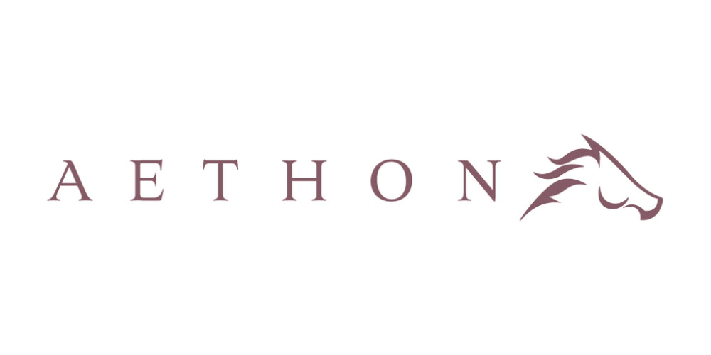Sponsor logo