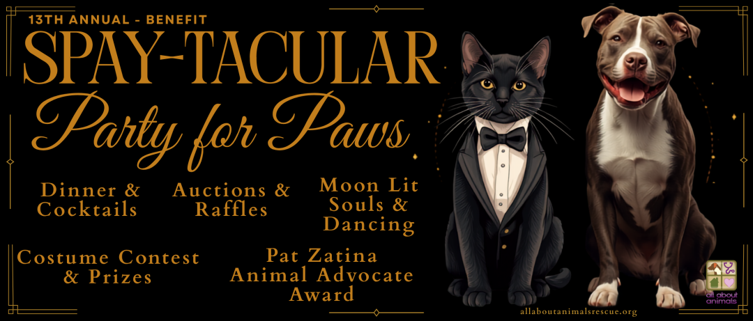 Spay-tacular 2026 banner