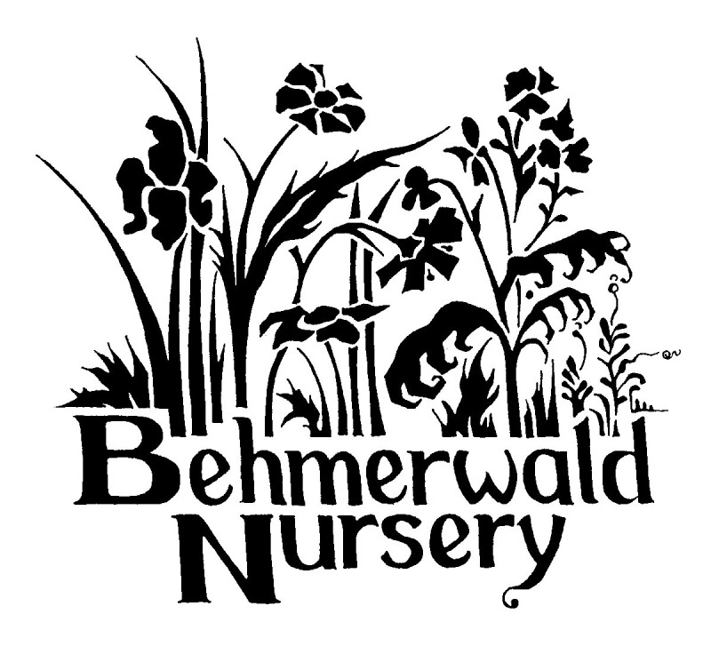 Sponsor logo
