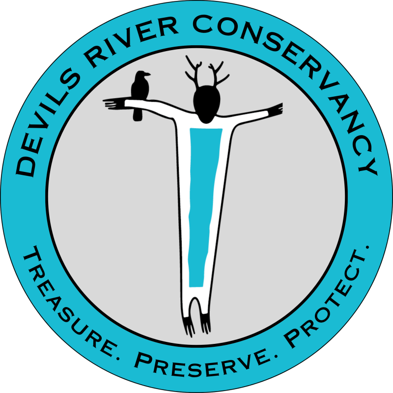 Wild Devils 2026 logo