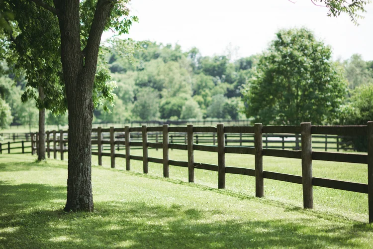 27th Annual Bluegrass Land Conservancy Auction background