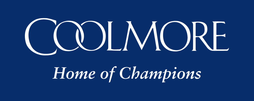Sponsor logo