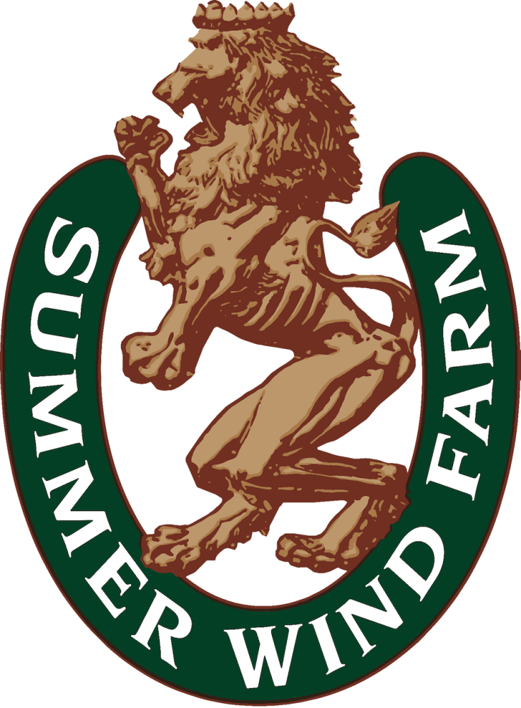 Sponsor logo