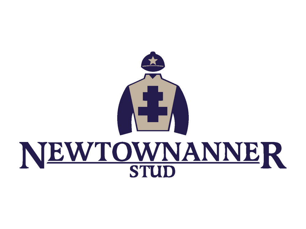 Sponsor logo