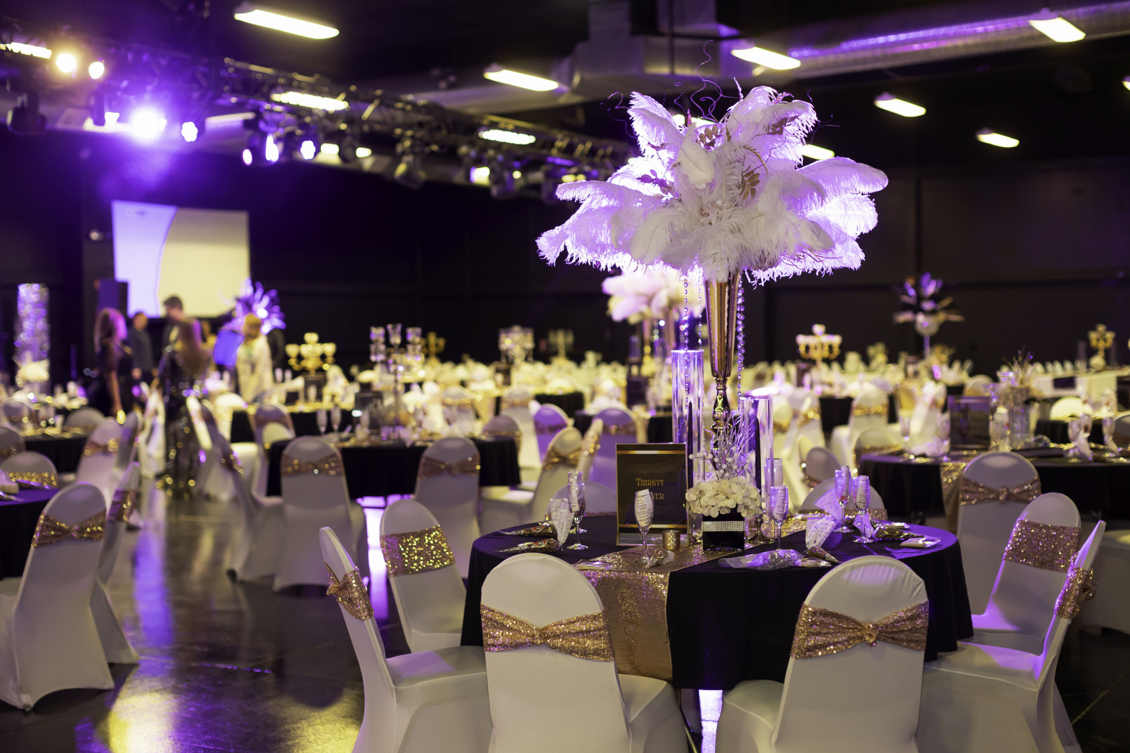 NPCAC 17th Annual Champagne & Ice Gala background