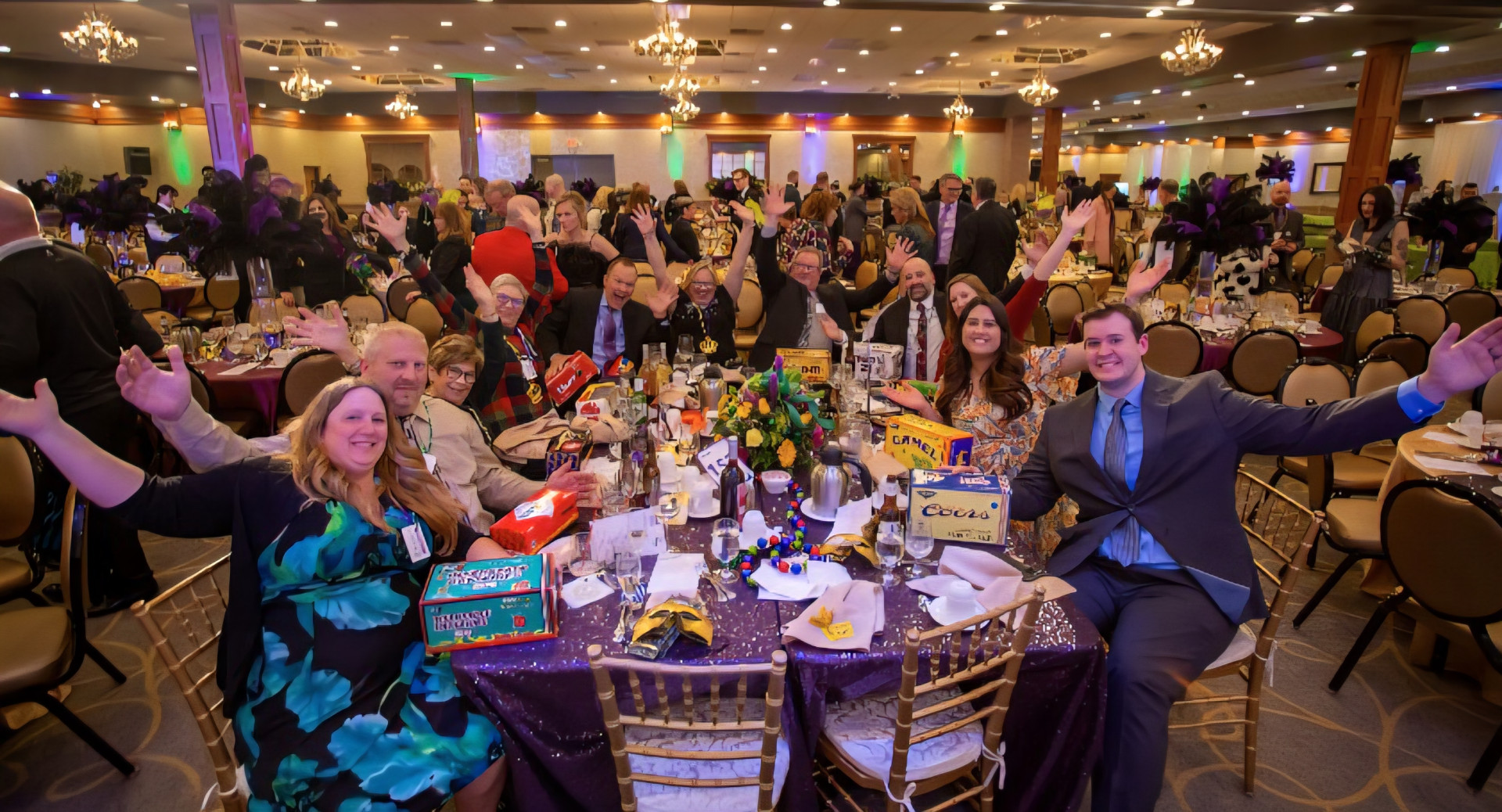 CAN Council 34th Annual Mardi Gras Auction background