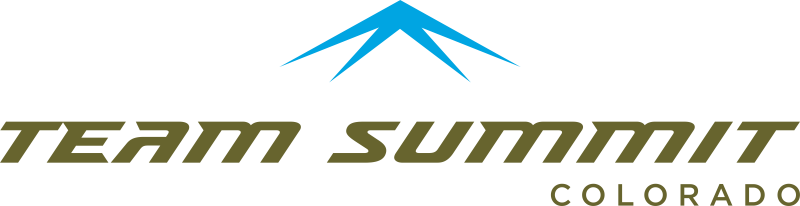 2026 Ski Ball logo