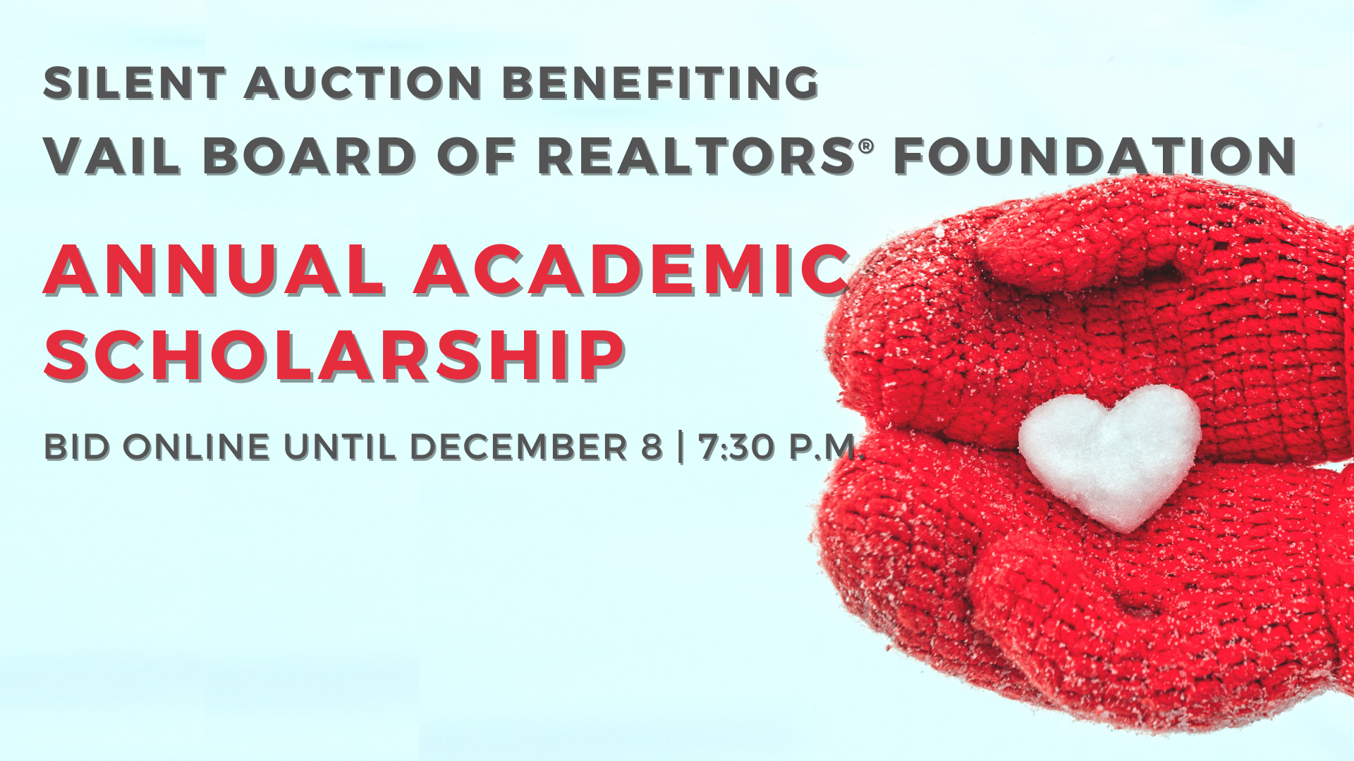 VBRF Foundation - Silent Auction background