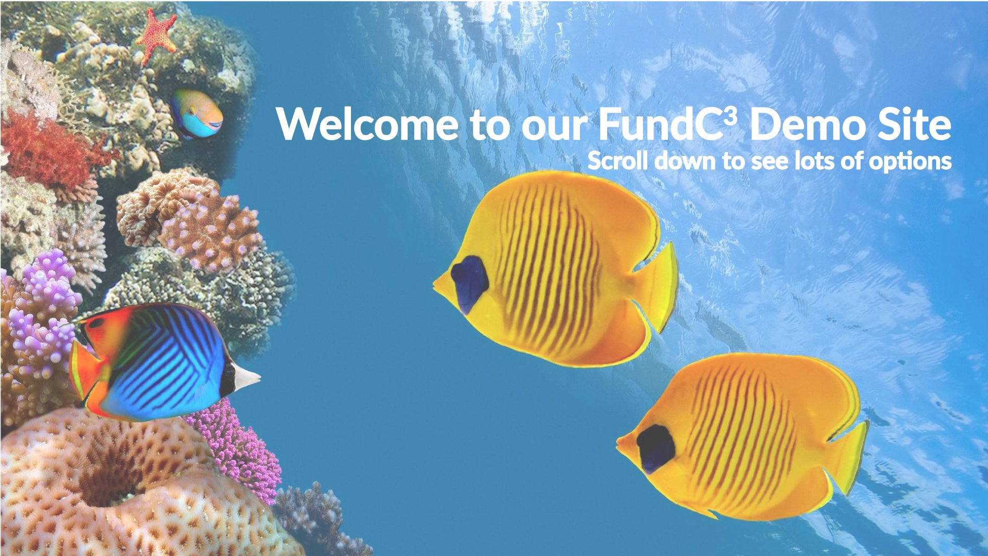 Fundraising Auctions FL background