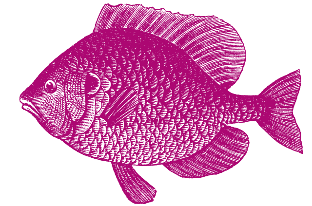 Gone Fishin' Silent Auction - Big Fish Ball 2022 background