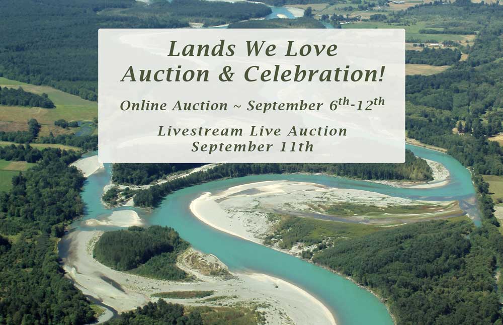2021 Lands We Love Auction background
