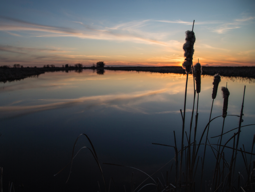 Ducks Unlimited Canada SK  background