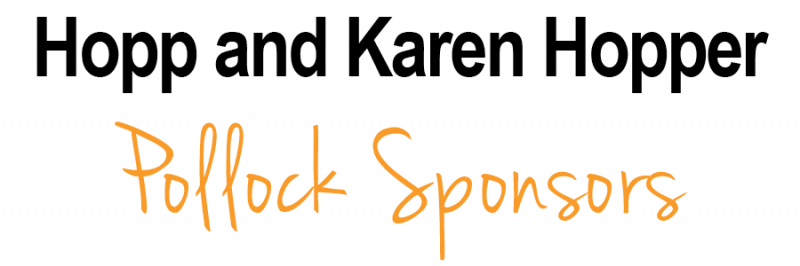 Sponsor logo