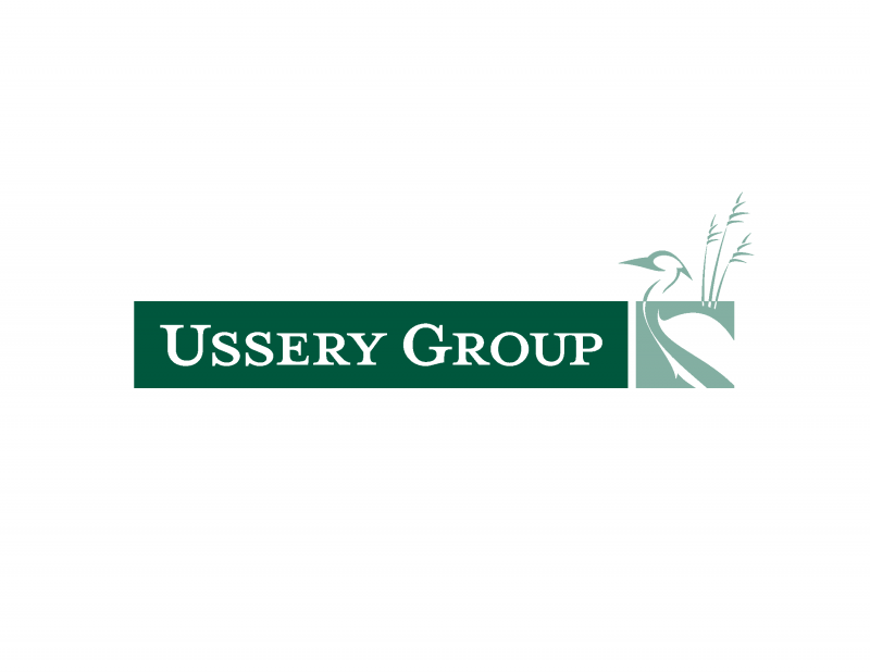 Sponsor logo