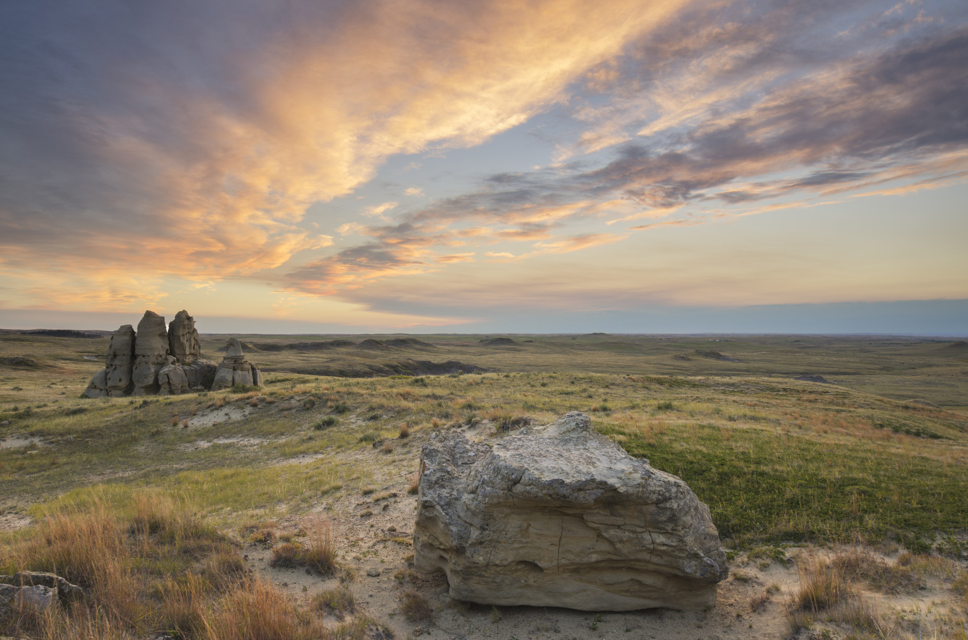 Wild Montana background