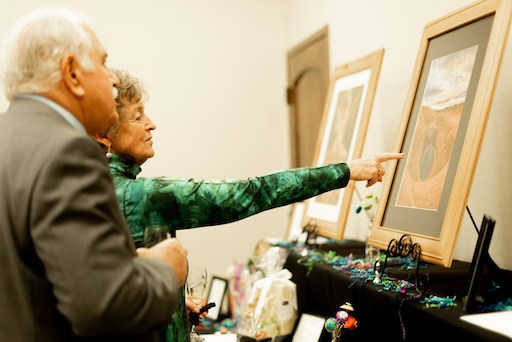 DOVE Center Online Gala with Live and Silent Auction banner