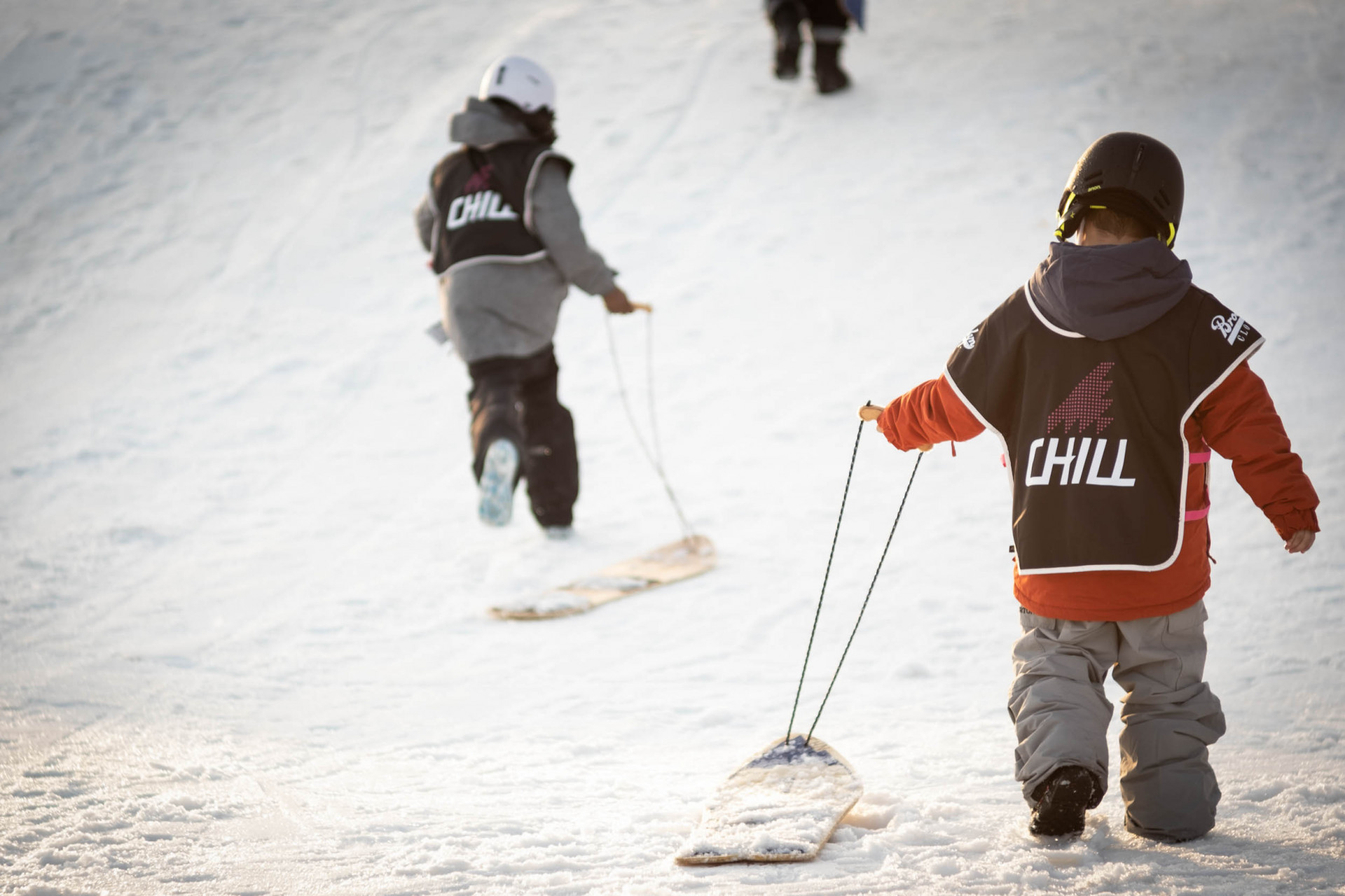 West Michigan Auction background