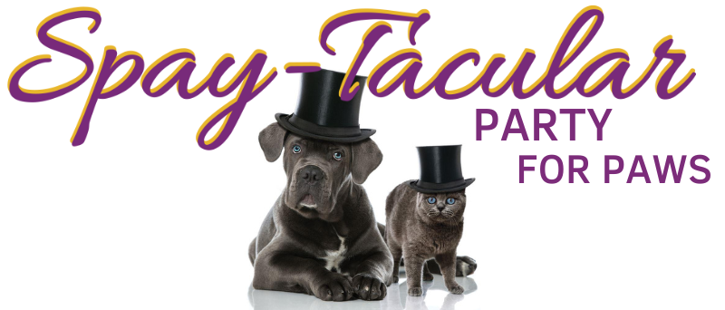 All About Animals Rescue banner