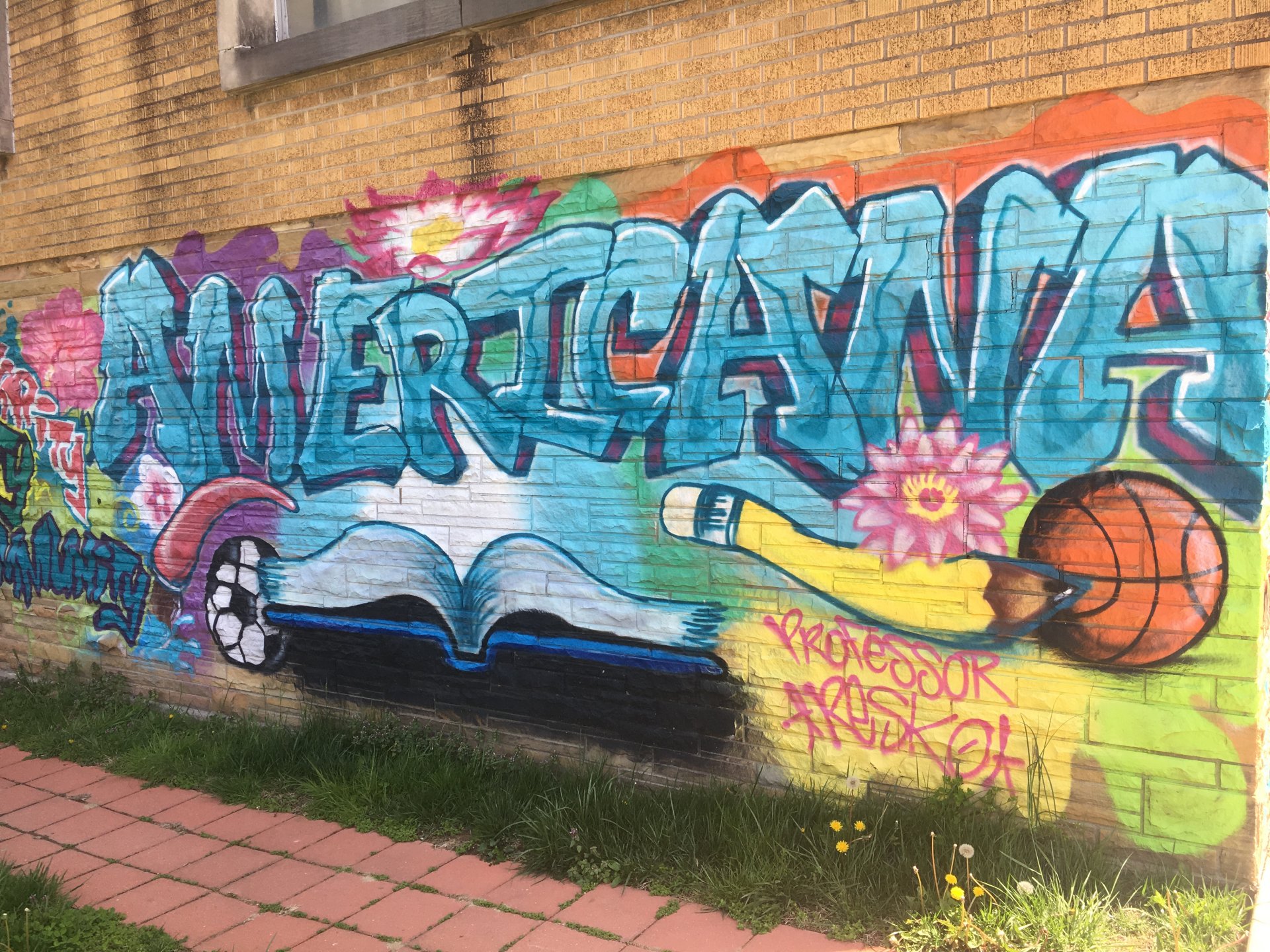 AMERICANA WORLD COMMUNITY CENTER background