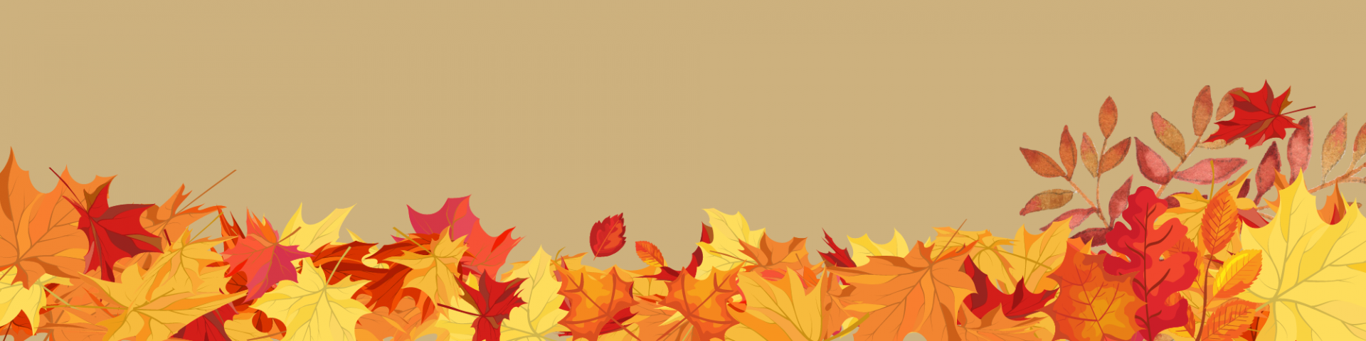 St. Francis de Sales School background