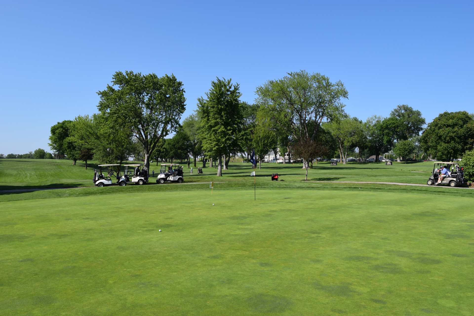 Golf Fore Eagles Silent Auction background