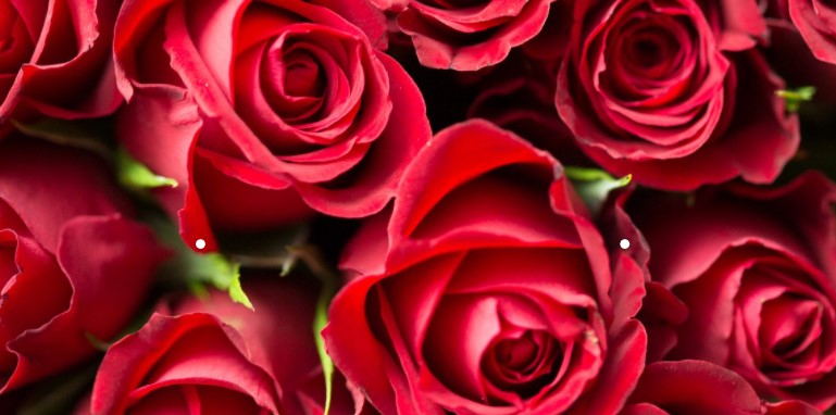 Chocolate Indulgence 2021 background