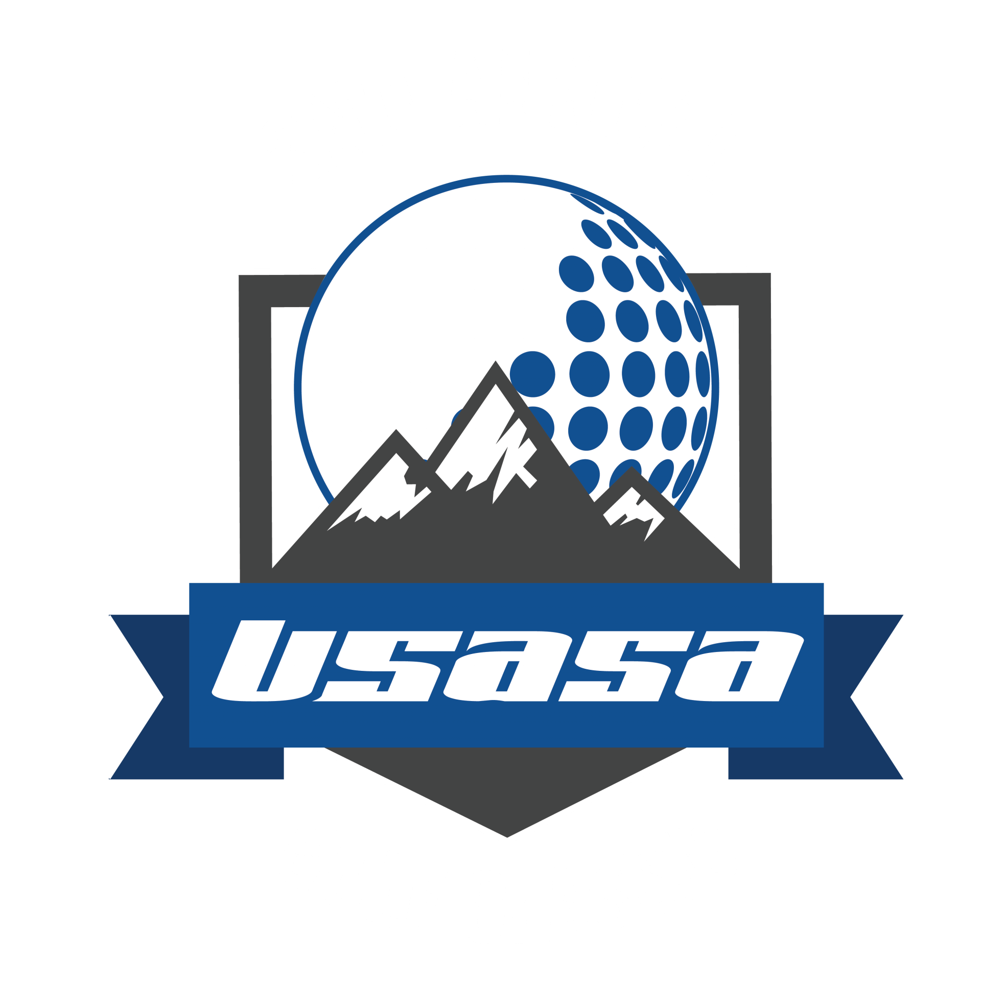 2nd Annual USASA Golf Classic Silent Auction logo